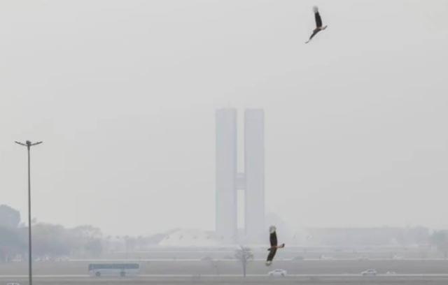 LGPD a serviço da opacidade? Pode isso, Arnaldo?